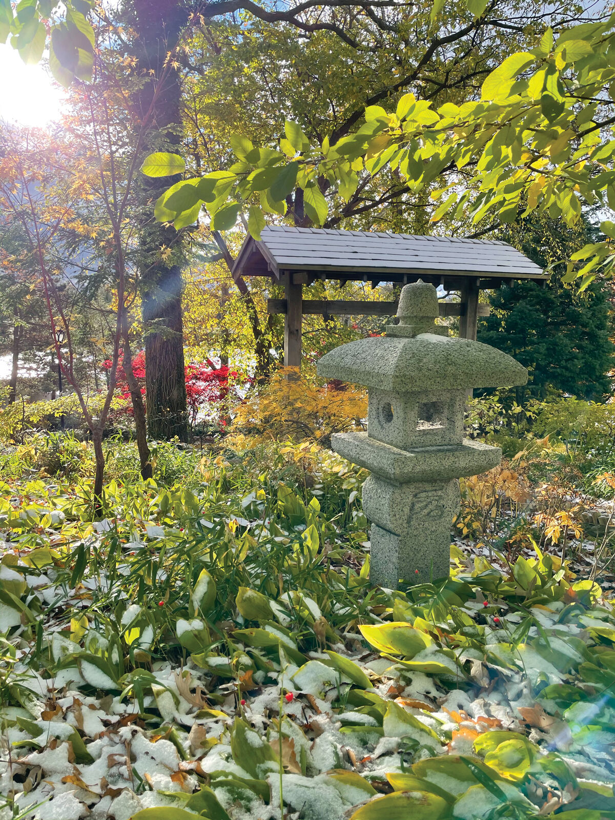 Early November snow at the Japanese Garden